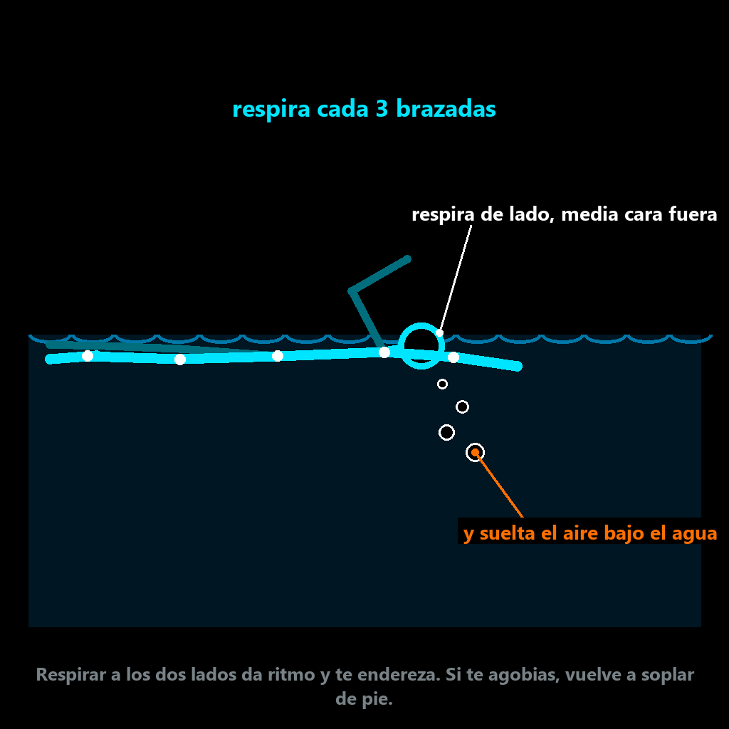 Crol con respiración lateral: soltar el aire bajo el agua y respirar de lado