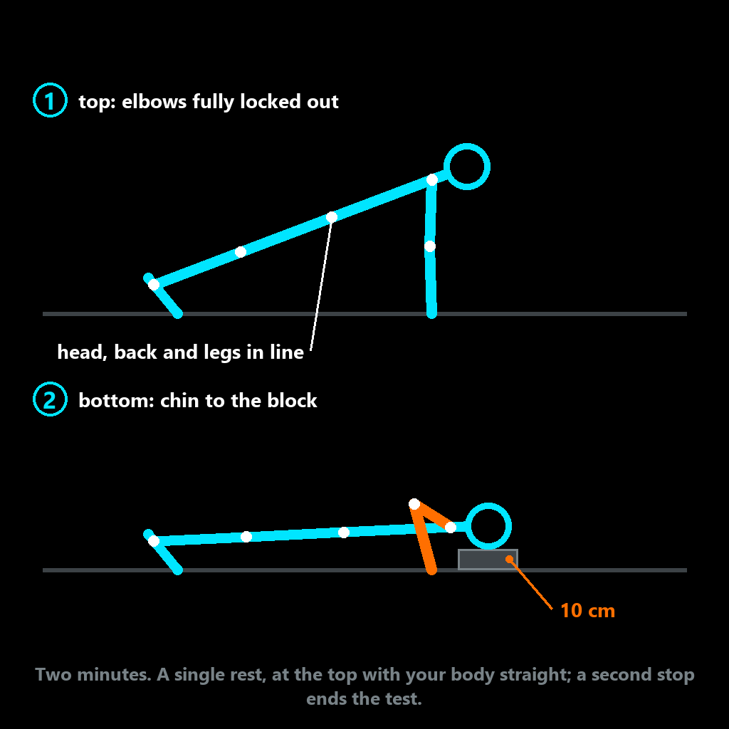 Armed Forces push-ups: chin to the 10 cm block